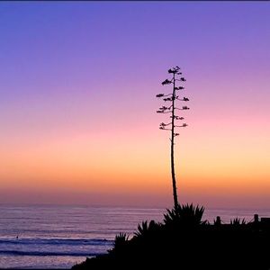 Meet your Posher, Grady